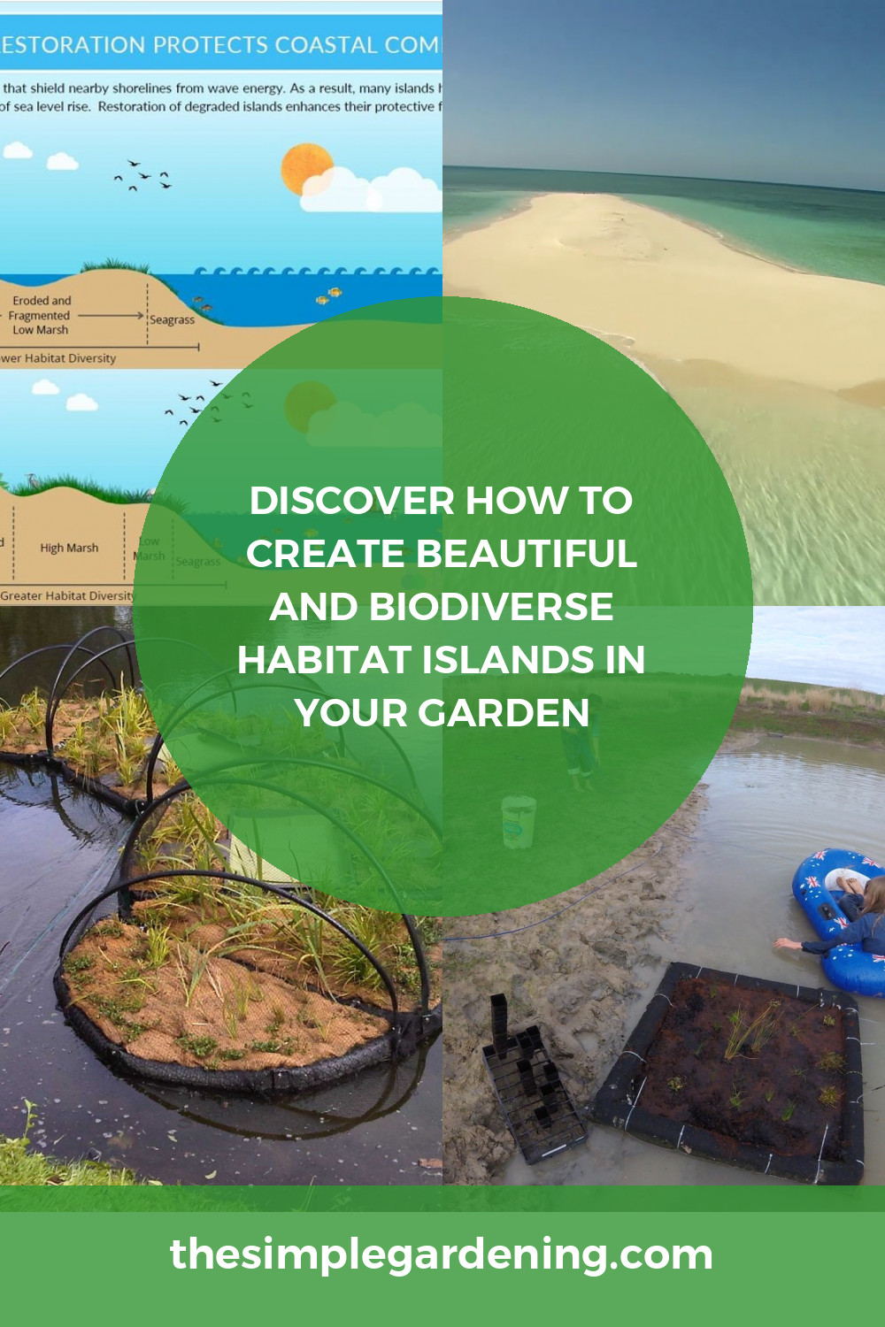 Discover How to Create Beautiful and Biodiverse Habitat Islands in Your Garden